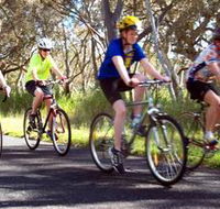 Penola Cycling Trails - Tweed Heads Accommodation