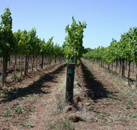Temple Bruer Winery - Tweed Heads Accommodation