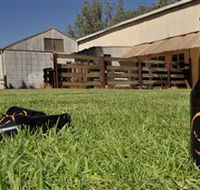 Wilkadene Woolshed Brewery - Tweed Heads Accommodation