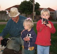 Orrie Cowie Merino and Poll Merino Stud - Tweed Heads Accommodation