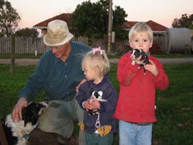 Orrie Cowie Merino And Poll Merino Stud - Tweed Heads Accommodation 0