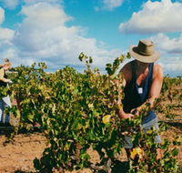 Torbreck Vintners - Tweed Heads Accommodation