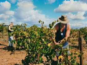 Torbreck Vintners - Tweed Heads Accommodation 0