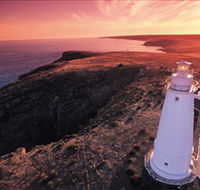 Lashmar Conservation Park - Tweed Heads Accommodation