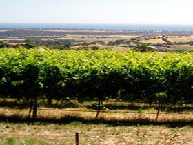  Tweed Heads Accommodation