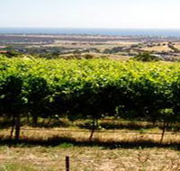 Braydun Hill Vineyard - Tweed Heads Accommodation