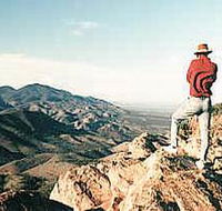 Devil's Peak Walking Trail - Tweed Heads Accommodation