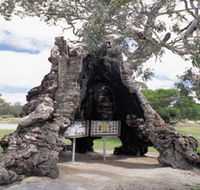 The Herbig Family Tree - Tweed Heads Accommodation
