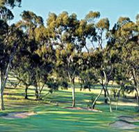 Tanunda Pines Golf Club - Tweed Heads Accommodation