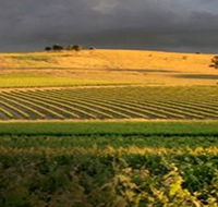 Kellermeister Wines - Tweed Heads Accommodation