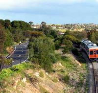 Coast to Vines Rail Trail - Tweed Heads Accommodation