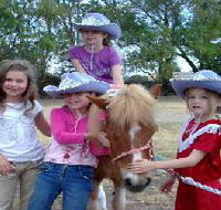 Amberainbow Pony Rides - Tweed Heads Accommodation