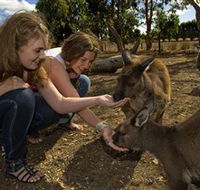 Kangaroo Island Wildlife Park - Tweed Heads Accommodation