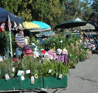 Meadows Monthly Market - Tweed Heads Accommodation
