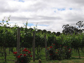  Tweed Heads Accommodation