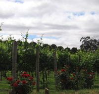 Manyara Vineyard - Tweed Heads Accommodation