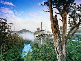  Tweed Heads Accommodation