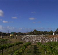 Deep Creek Wines and Alpacas - Tweed Heads Accommodation