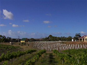 Deep Creek Wines And Alpacas - Tweed Heads Accommodation 0