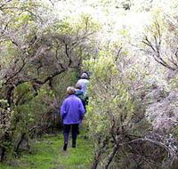 Jack And Hilda McArthur Walk - Tweed Heads Accommodation
