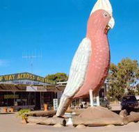 The Big Galah - Tweed Heads Accommodation