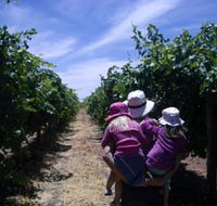 McLaren Vale Orchards - Tweed Heads Accommodation