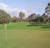 Regency Park Golf Course - Tweed Heads Accommodation