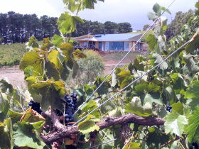 Zimmermann Wine - Tweed Heads Accommodation 0