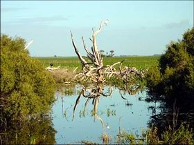  Tweed Heads Accommodation