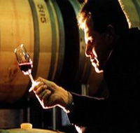 Salena Estate Wines - Tweed Heads Accommodation