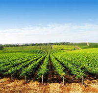 Aldinga Bay Winery - Tweed Heads Accommodation