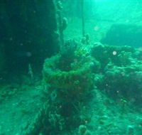 Wallaroo Scuba Club - Tweed Heads Accommodation