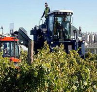 Ballast Stone Estate Wines Pty Ltd - Tweed Heads Accommodation