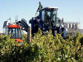 Ballast Stone Estate Wines Pty Ltd - Tweed Heads Accommodation 0