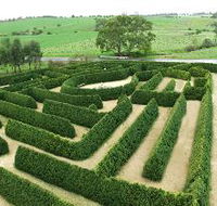 Mintaro Maze and Gift Shop - Tweed Heads Accommodation