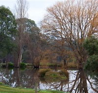 Gemtree Wetlands Ecotrail - Tweed Heads Accommodation