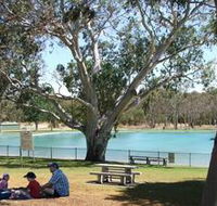 Naracoorte Nature Park and Swimming Lake - Tweed Heads Accommodation