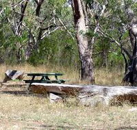 Penola Conservation Park - Tweed Heads Accommodation
