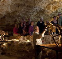 Naracoorte Caves National Park - Tweed Heads Accommodation