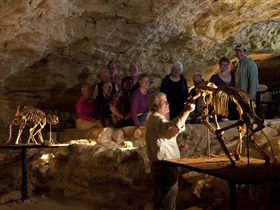 Naracoorte Caves National Park - Tweed Heads Accommodation 0