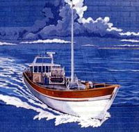Southern Fleurieu Fish - Tweed Heads Accommodation
