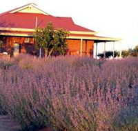 Bella Lavender Estate - Tweed Heads Accommodation