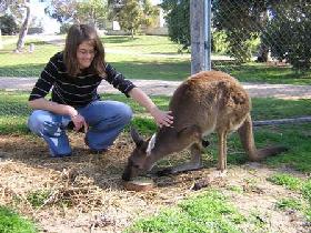 Pendleton Farmstay - Tweed Heads Accommodation 0