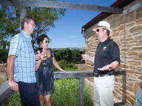 Shingleback Wine Cellar Door - Tweed Heads Accommodation 0