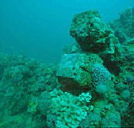 Adelaide's Underwater Heritage Trail - Tweed Heads Accommodation