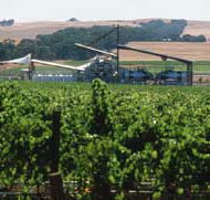 Kirrihill Wines - Tweed Heads Accommodation