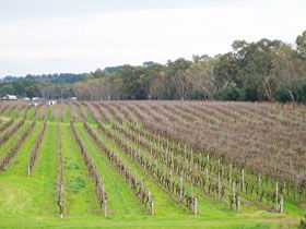 Dennis Wines - Tweed Heads Accommodation 0