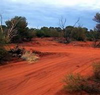 Tallaringa Conservation Park - Tweed Heads Accommodation