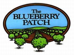 The Blueberry Patch - Tweed Heads Accommodation 0