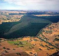 Mount Crawford Forest Reserve - Tweed Heads Accommodation